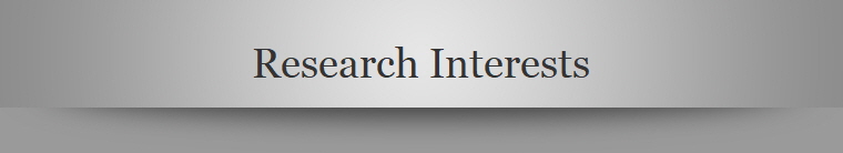 Research Interests